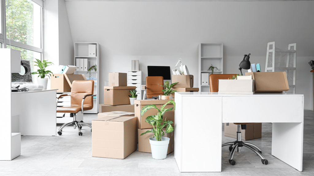 Organizing an office.